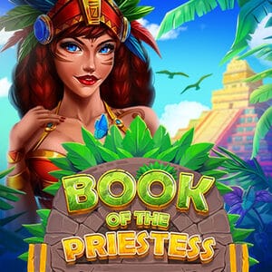 Book of the Priestess game screenshot